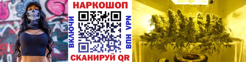 ГАШИШ Дмитров