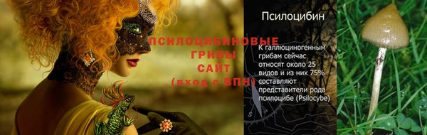 ГАЛЛЮЦИНОГЕННЫЕ ГРИБЫ Алексеевка