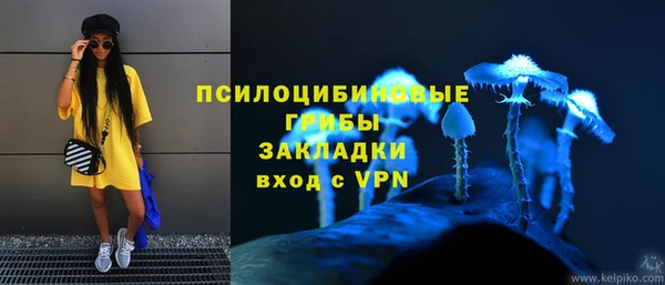ГАЛЛЮЦИНОГЕННЫЕ ГРИБЫ Алексеевка