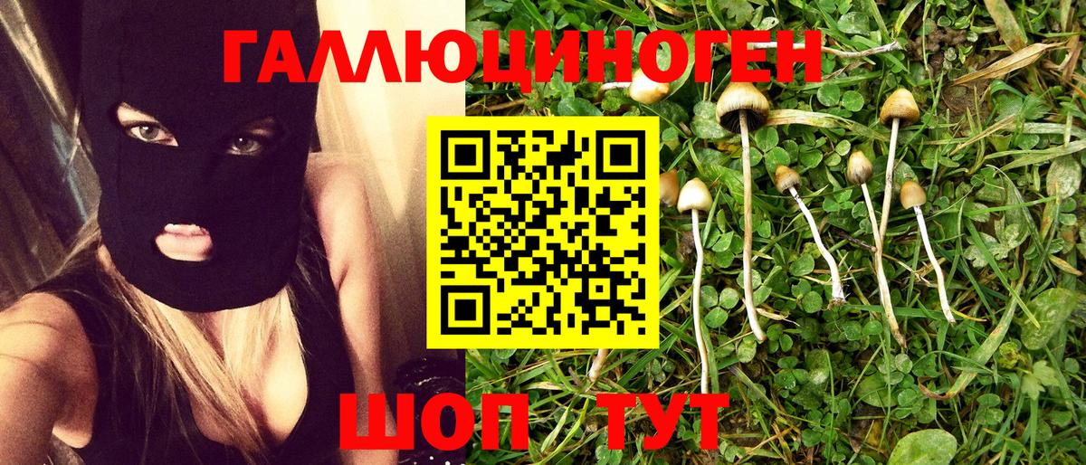 Псилоцибиновые грибы MAGIC MUSHROOMS  Вход с VPN  Псилоцибиновые грибы Psilocybe  купить закладку  Дмитров 